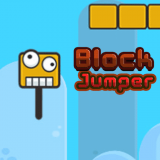 Block Jumper